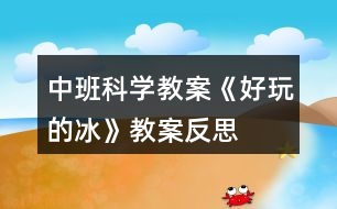 中班科學(xué)教案《好玩的冰》教案反思