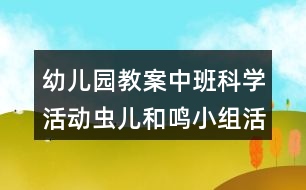 幼兒園教案中班科學(xué)活動蟲兒和鳴小組活動