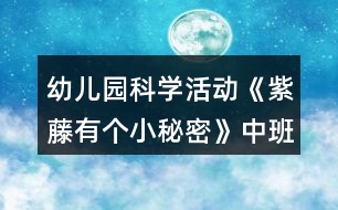 幼兒園科學(xué)活動《紫藤有個小秘密》中班教案反思