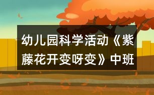 幼兒園科學(xué)活動《紫藤花開變呀變》中班精品教案反思