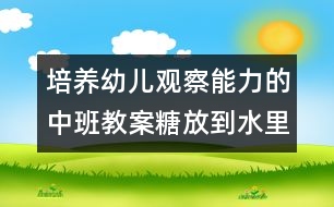 培養(yǎng)幼兒觀察能力的中班教案：糖放到水里會(huì)怎樣（科學(xué)）