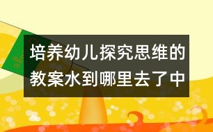 培養(yǎng)幼兒探究思維的教案：水到哪里去了（中班科學活動）