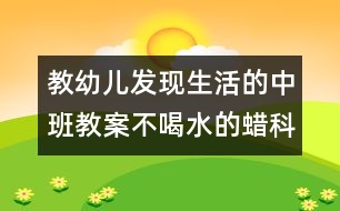 教幼兒發(fā)現(xiàn)生活的中班教案：不喝水的蠟（科學(xué)）