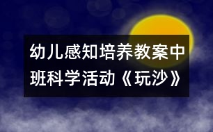 幼兒感知培養(yǎng)教案中班科學(xué)活動(dòng)：《玩沙》