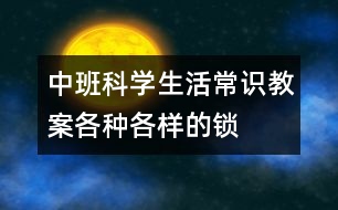 中班科學生活常識教案：各種各樣的鎖