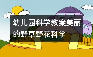 幼兒園科學(xué)教案：美麗的野草、野花（科學(xué)）