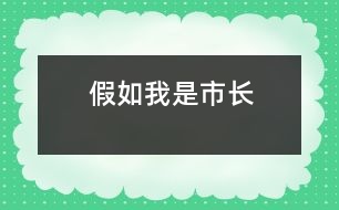 假如我是市長