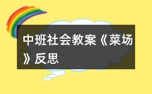 中班社會(huì)教案《菜場(chǎng)》反思