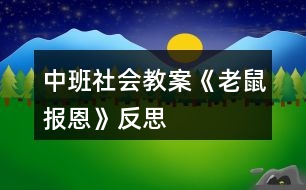 中班社會教案《老鼠報恩》反思