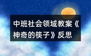 中班社會領(lǐng)域教案《神奇的筷子》反思