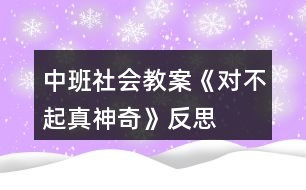 中班社會教案《“對不起”真神奇》反思