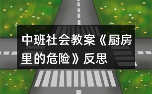 中班社會(huì)教案《廚房里的危險(xiǎn)》反思