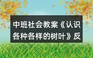 中班社會(huì)教案《認(rèn)識(shí)各種各樣的樹葉》反思