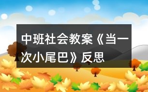 中班社會教案《當一次小尾巴》反思