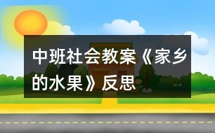 中班社會教案《家鄉(xiāng)的水果》反思