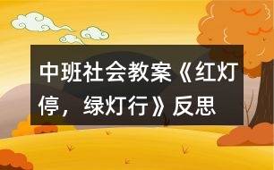 中班社會教案《紅燈停，綠燈行》反思