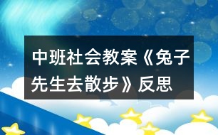 中班社會教案《兔子先生去散步》反思