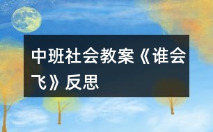 中班社會教案《誰會飛》反思