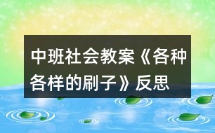 中班社會教案《各種各樣的刷子》反思