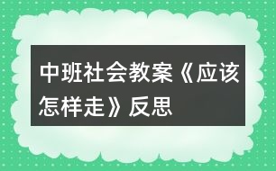 中班社會教案《應該怎樣走》反思