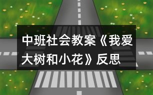 中班社會教案《我愛大樹和小花》反思