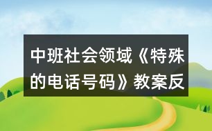 中班社會領(lǐng)域《特殊的電話號碼》教案反思