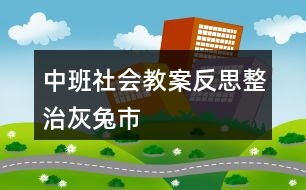 中班社會教案反思整治灰兔市