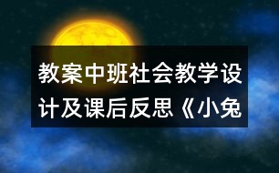 教案中班社會教學設計及課后反思《小兔的花園》