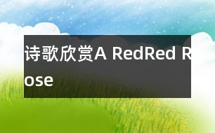 詩歌欣賞：A Red,Red Rose