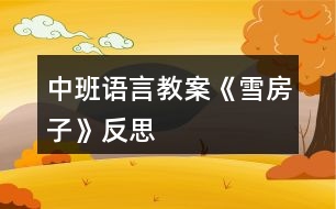 中班語(yǔ)言教案《雪房子》反思