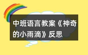 中班語言教案《神奇的小雨滴》反思