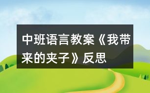 中班語(yǔ)言教案《我?guī)?lái)的夾子》反思