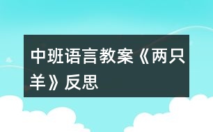 中班語(yǔ)言教案《兩只羊》反思