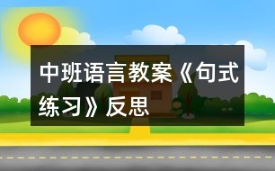 中班語言教案《句式練習》反思