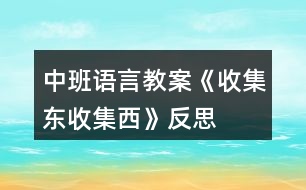 中班語(yǔ)言教案《收集東、收集西》反思