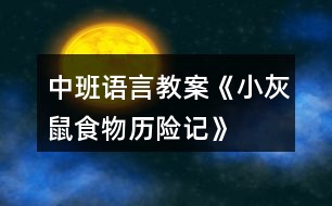 中班語(yǔ)言教案《小灰鼠食物歷險(xiǎn)記》