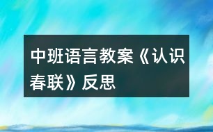 中班語(yǔ)言教案《認(rèn)識(shí)春聯(lián)》反思