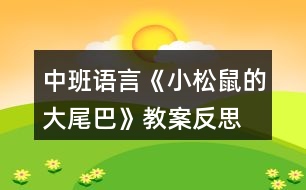 中班語(yǔ)言《小松鼠的大尾巴》教案反思