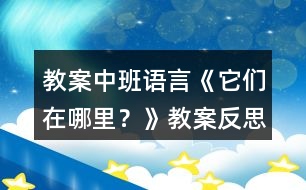 教案中班語言《它們在哪里？》教案反思