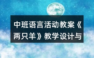 中班語言活動教案《兩只羊》教學設計與反思