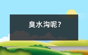 臭水溝呢？