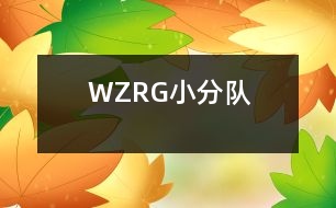 WZRG小分隊(duì)