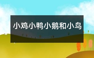 小雞、小鴨、小鵝和小鳥