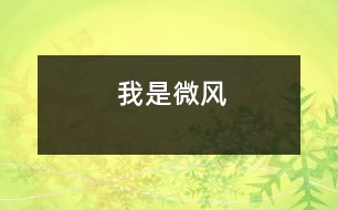 我是微風(fēng)