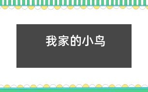 我家的小鳥(niǎo)