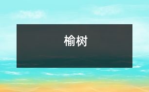 榆樹