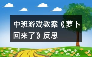 中班游戲教案《蘿卜回來了》反思