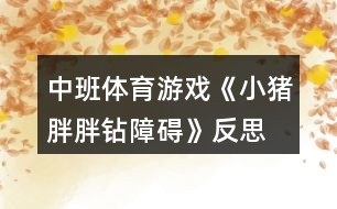 中班體育游戲《小豬胖胖鉆障礙》反思