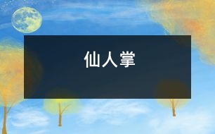 仙人掌