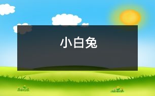 小白兔